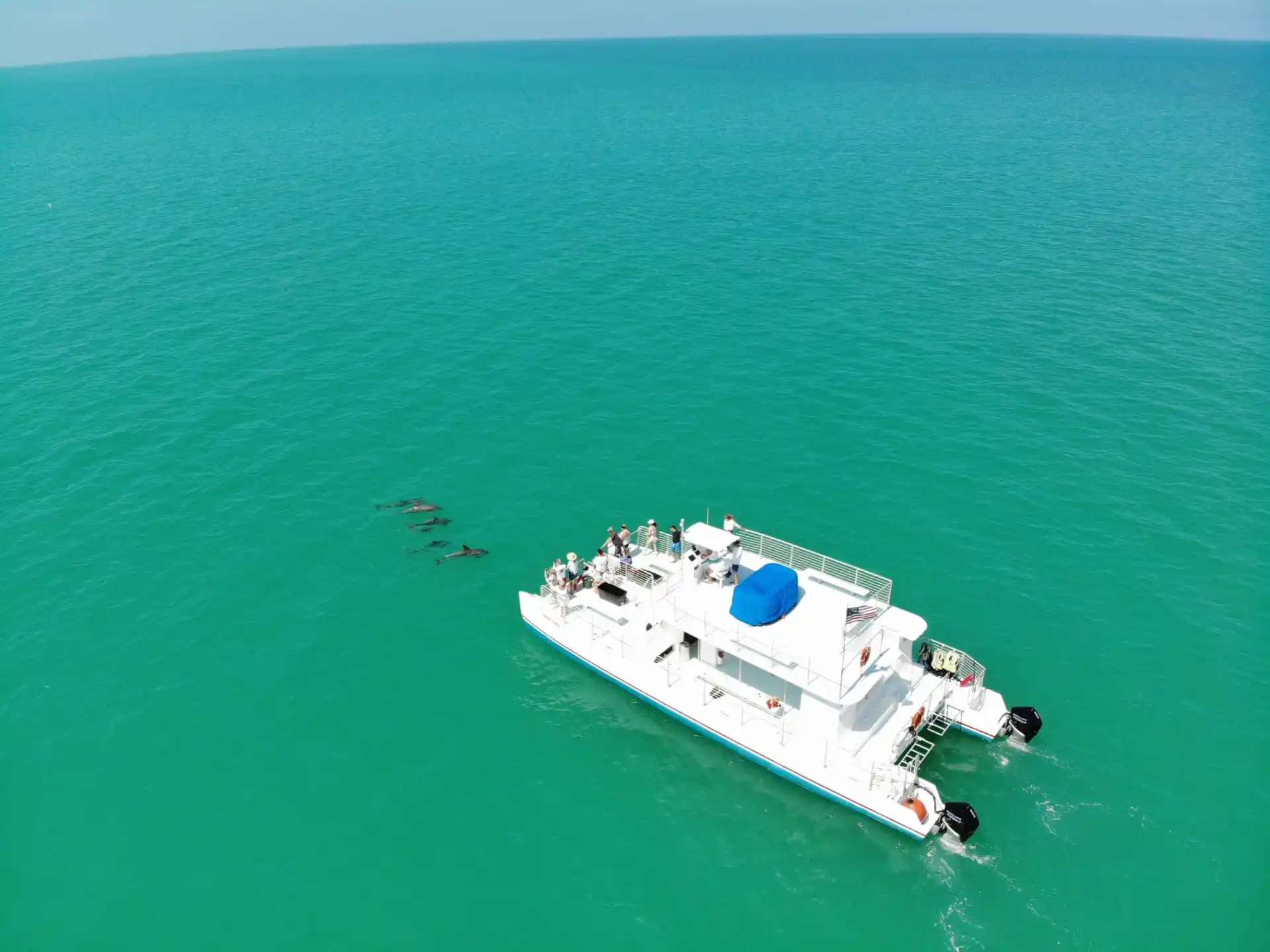 a large ship in a body of water with dolphins nearby