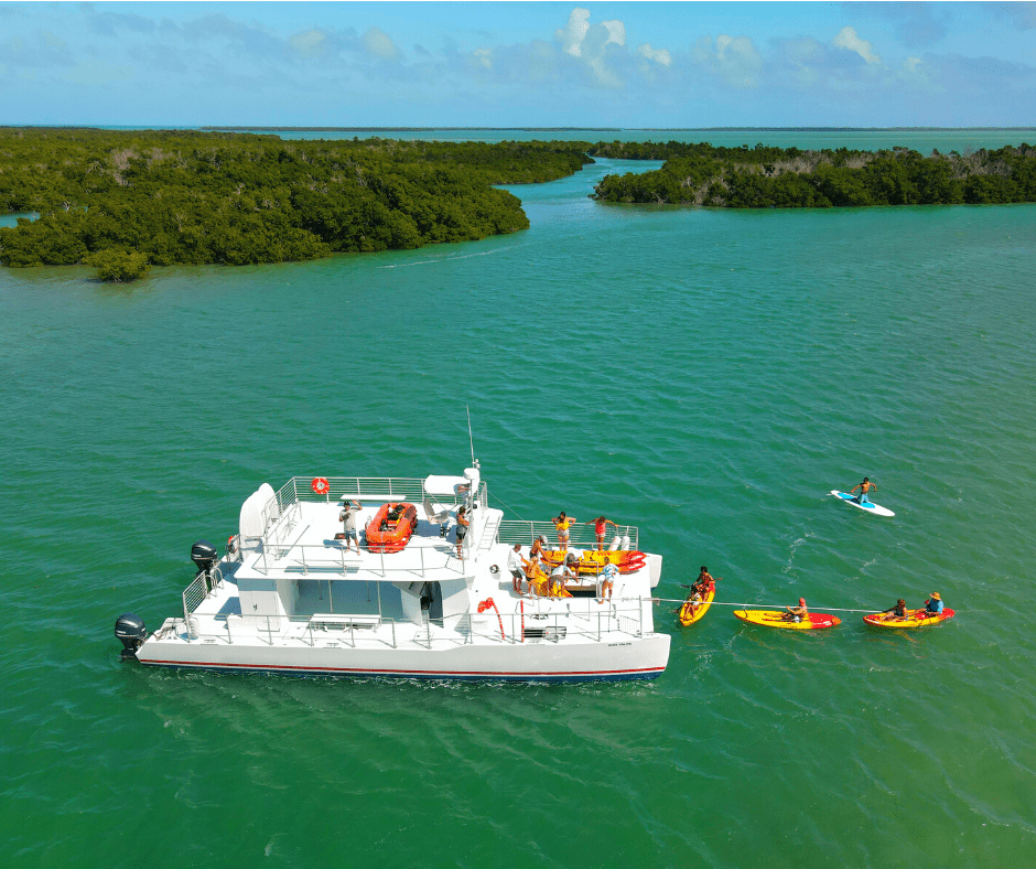 Key West Ultimate Sandbar Kayak Eco Tour | Sunset Watersports