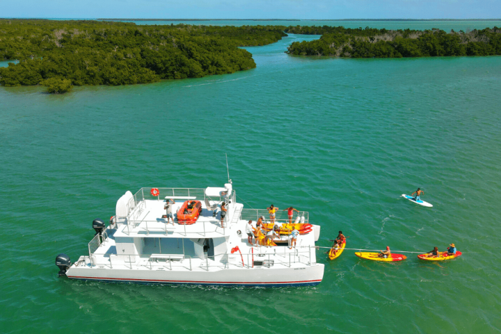 a yacht in the water with a mangrove in the background