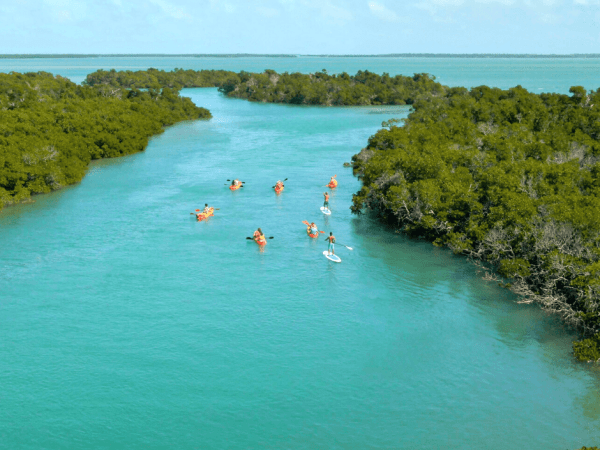 a group of people kayaking and paddleboarding